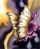 PAPILLON