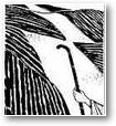 image002