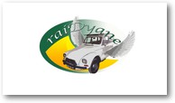le logo raiDyane