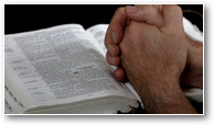 prayer hands - mains de prière