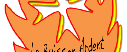 logodubuissonardent[1]