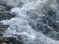dscf4653