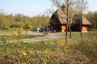 img_2456