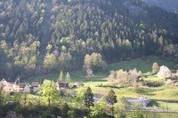 img_2455