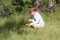 img_2501