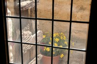 img_2500