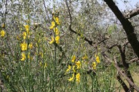 img_2501