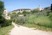 img_2500
