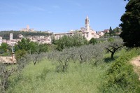 img_2501