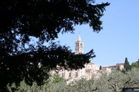 img_2500