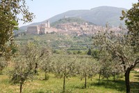 img_2501
