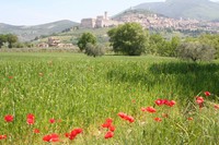img_2500