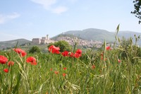 img_2501