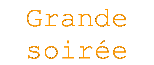 Zone de Texte: Grande soir&eacute;e scoute !!!